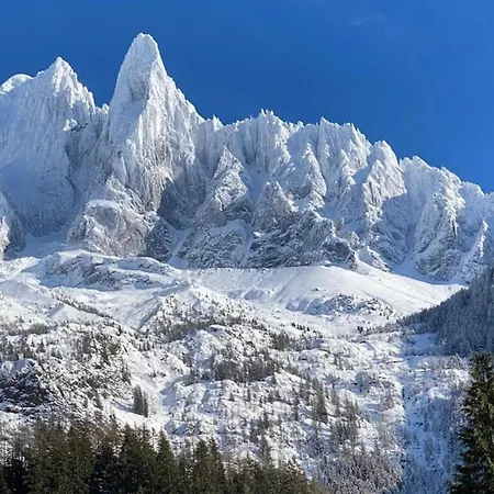 De L'aiguille With View On Mont Blanc Chalet *